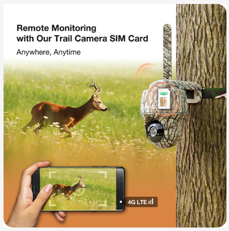 Trail Camera SIM Card